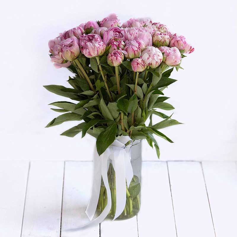 Доставка цветов в Москве. Нежно розовые пионы поштучно - Купить цветы.